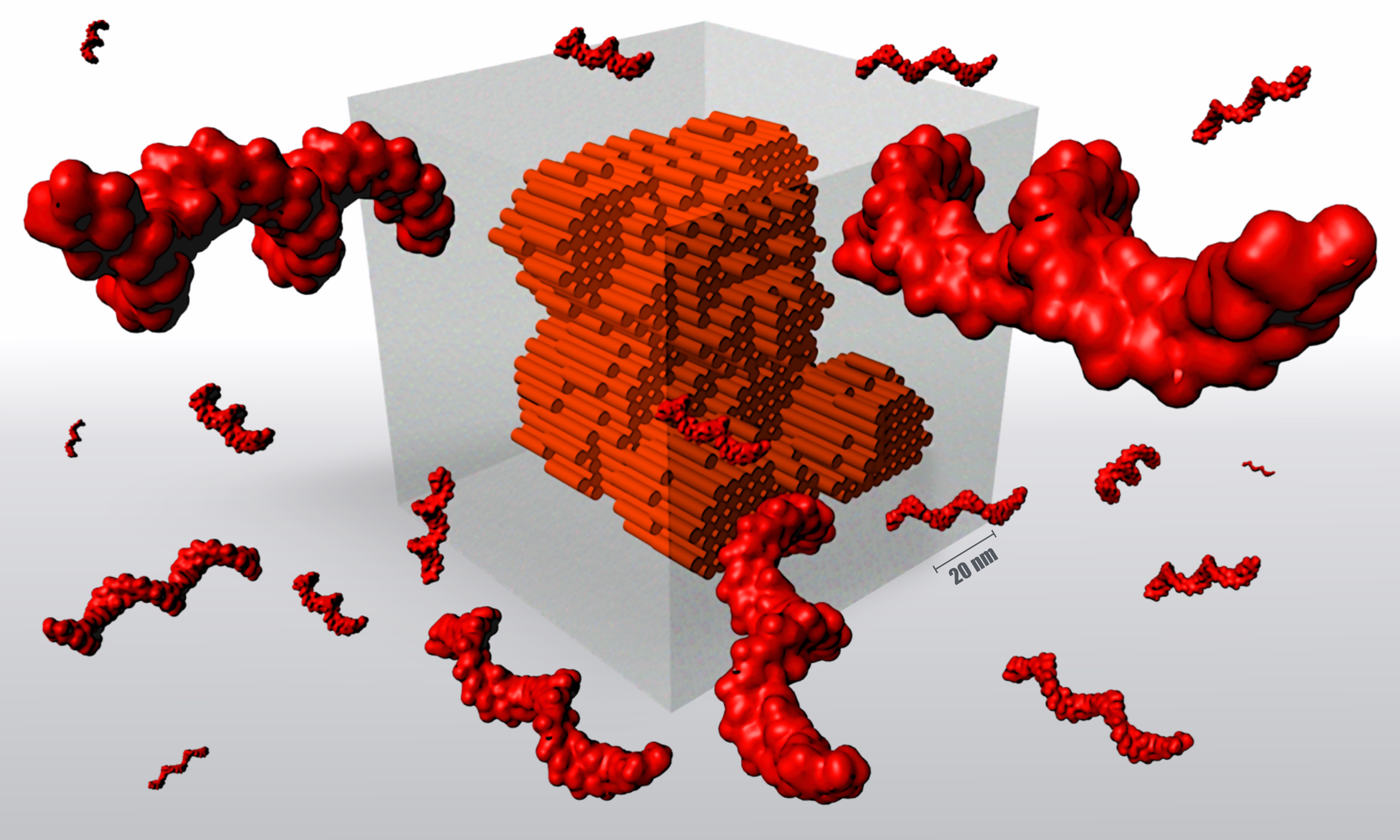 Image Nano Cube