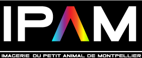 Logo-IPAM png