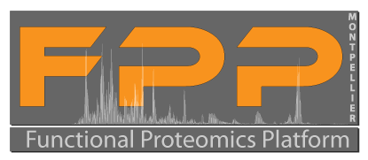 Logo FPP 300